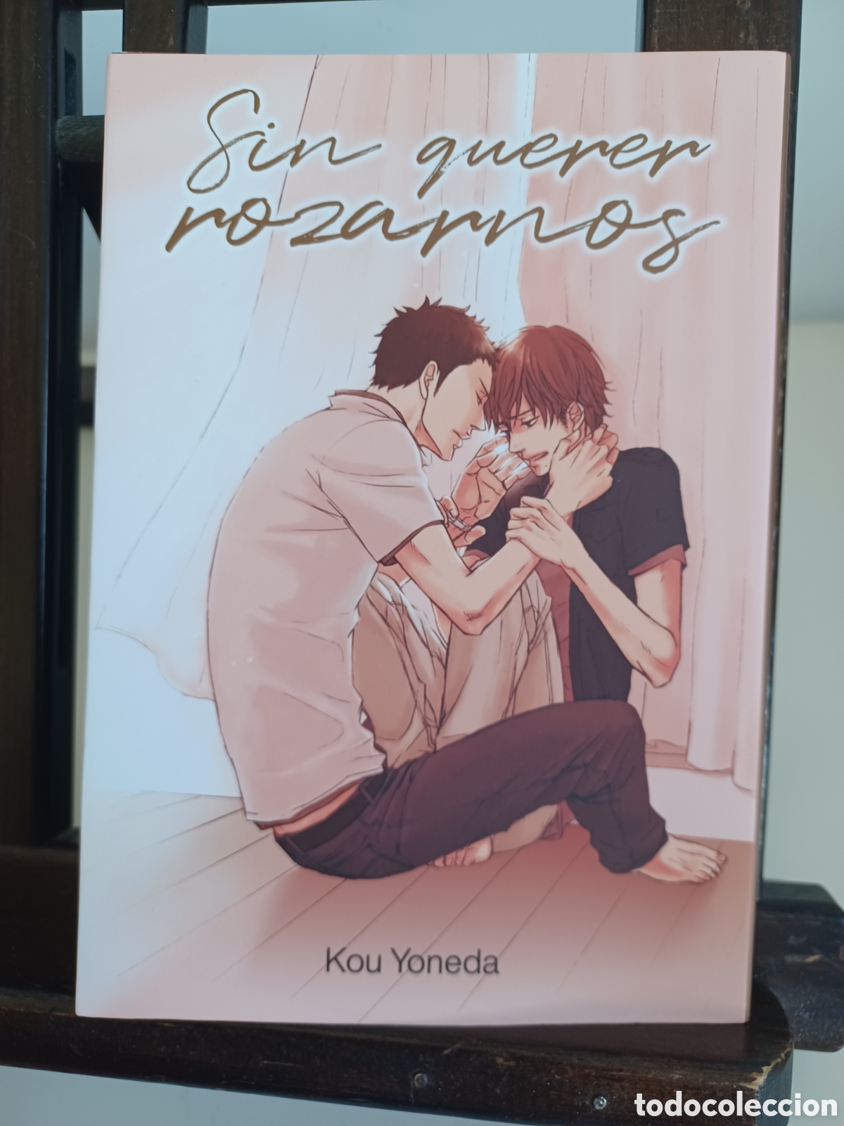 C&oacute;mics: Sin querer rozarnos/ Kou Yoneda/ Manga BL/ Tomodomo/ NUEVO A ESTRENAR