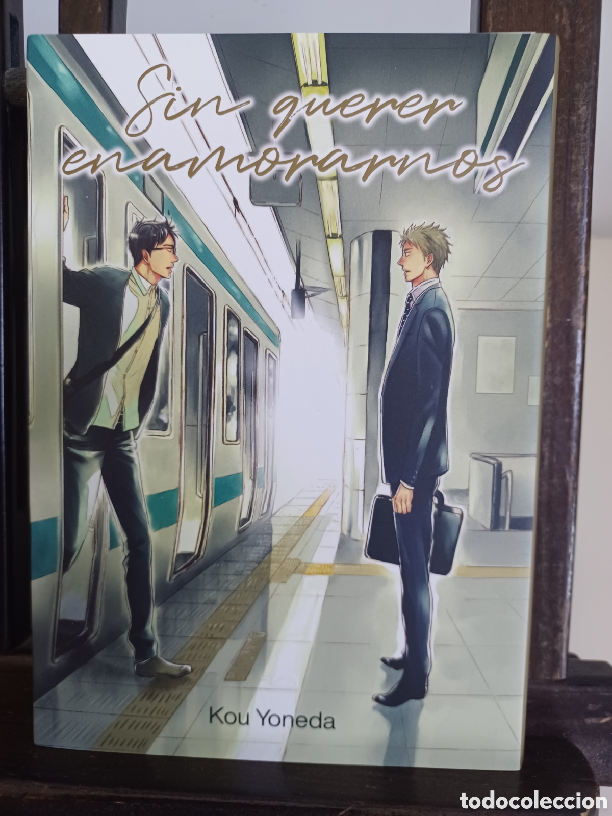 C&oacute;mics: Sin querer enamorarnos/ Kou Yoneda/ Manga BL/ Tomodomo/ NUEVO A ESTRENAR