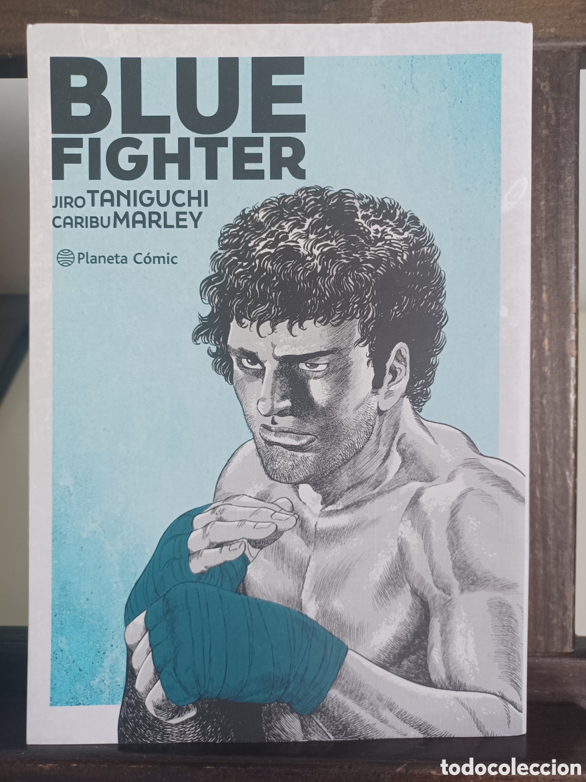 C&oacute;mics: Blue fighter/ Tomo &uacute;nico/ Taniguchi & Marley/ Planeta/ NUEVO A ESTRENAR