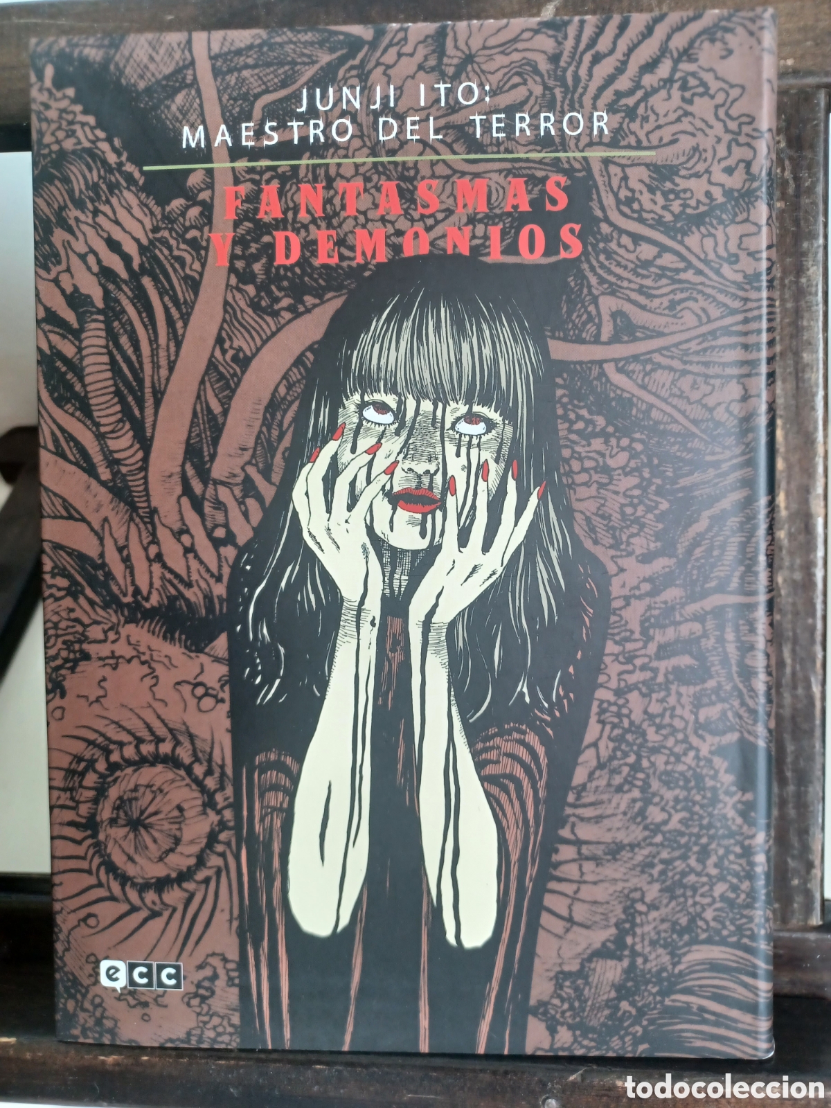 C&oacute;mics: Junji Ito: Maestro del Terror. Fantasmas y Demonios/ Tomo &uacute;nico/ ECC/ NUEVO A ESTRENAR