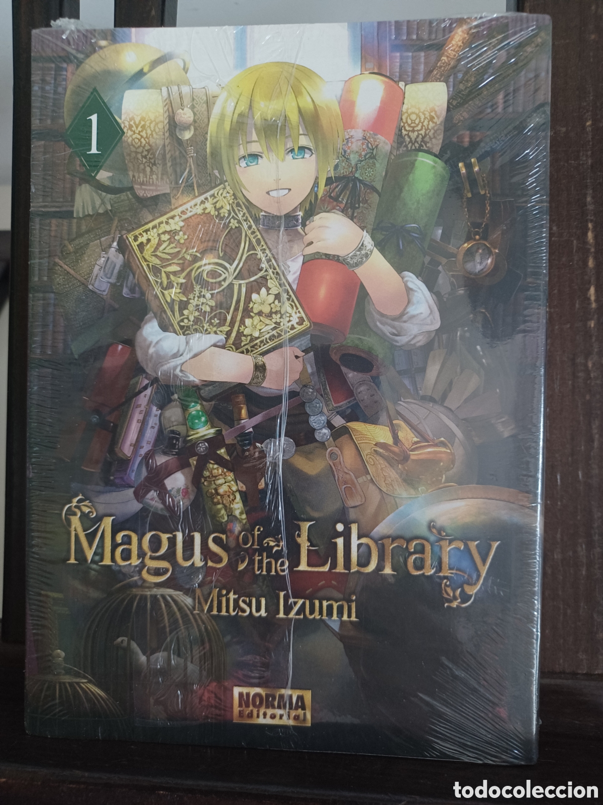 C&oacute;mics: Magus of the Library 1/ Mitsu Izumi/ Seinen/ Norma/ NUEVO PRECINTADO
