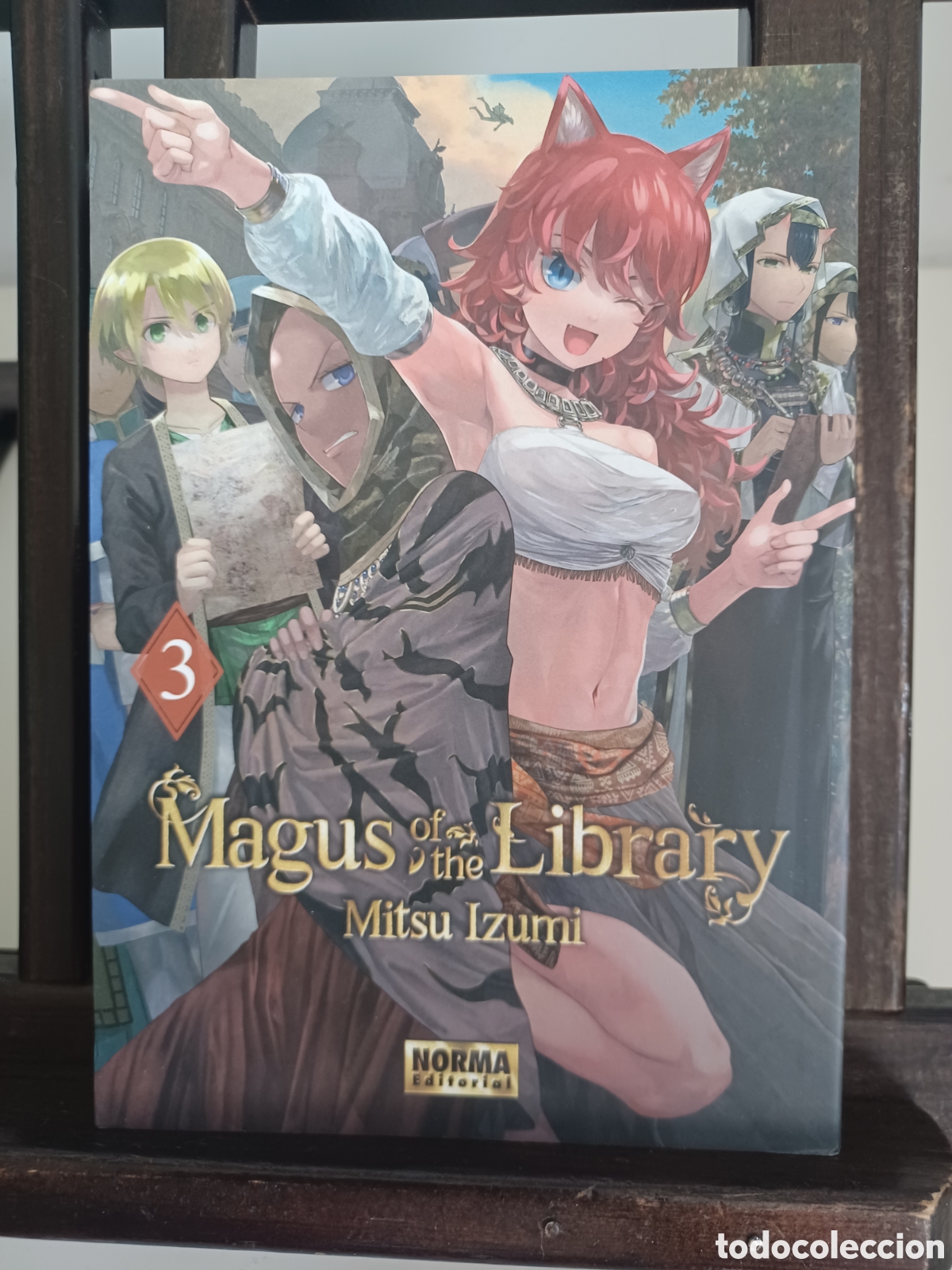 C&oacute;mics: Magus of the Library 3/ Mitsu Izumi/ Seinen/ Norma/ NUEVO A ESTRENAR