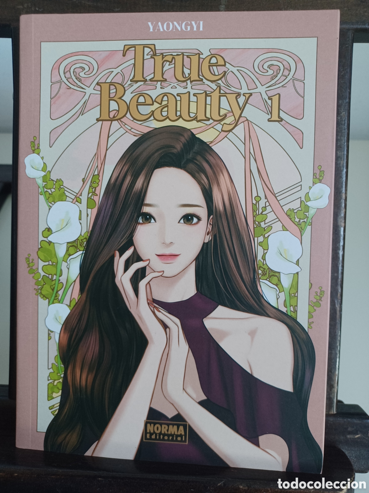 C&oacute;mics: True Beauty 1 de 19/ Yaongyi/ Manhwa/ Norma/ NUEVO A ESTRENAR