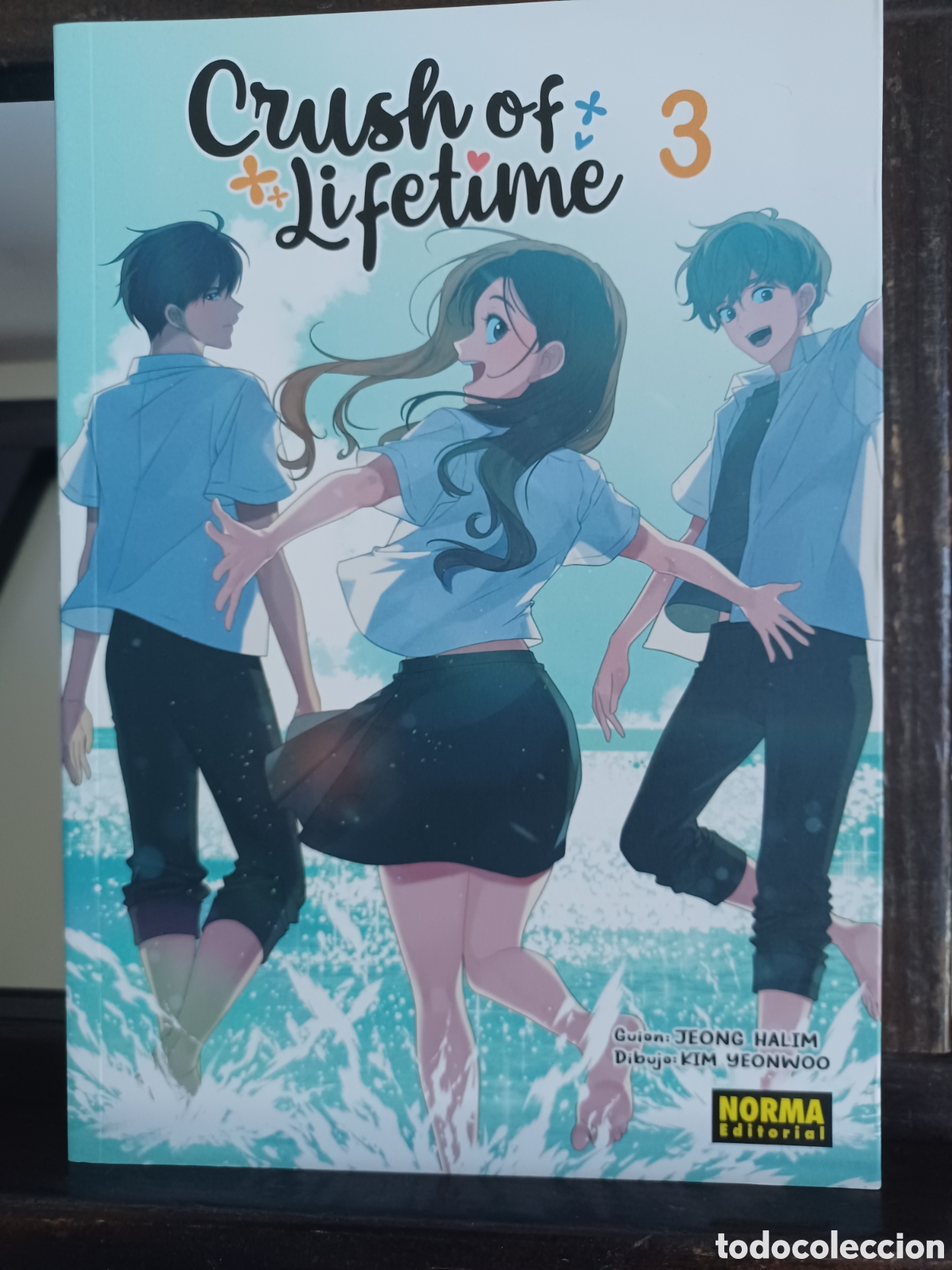 Comics : Crush of lifetime 3 de 6/ Manhwa/ Norma/ NUEVO A ESTRENAR