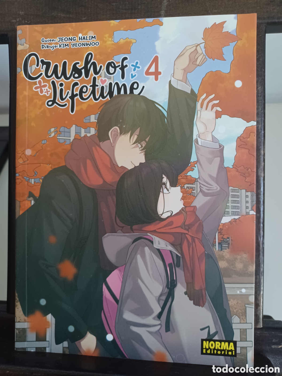 C&oacute;mics: Crush of lifetime 4 de 6/ Manhwa/ Norma/ NUEVO A ESTRENAR