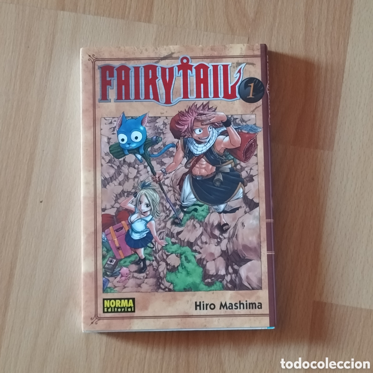 C&oacute;mics: Cxx - Fairy Tail 1. Norma. Hiro Mashima