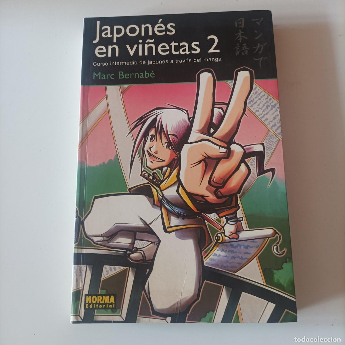 C&oacute;mics: JAPONES EN VI&Ntilde;ETAS N&ordm; 2: CURSO INTERMEDIO DE JAPONES A TRAVES DEL MANGA