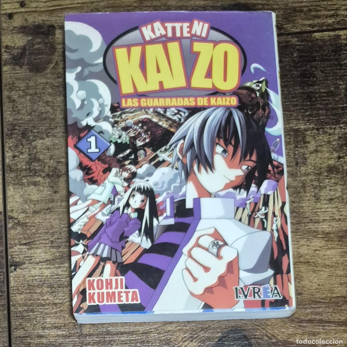 C&oacute;mics: KATTENI KAIZO: LAS GUARRADAS DE KAIZO - KOHJI KUMETA (MANGA, TOMO 1)