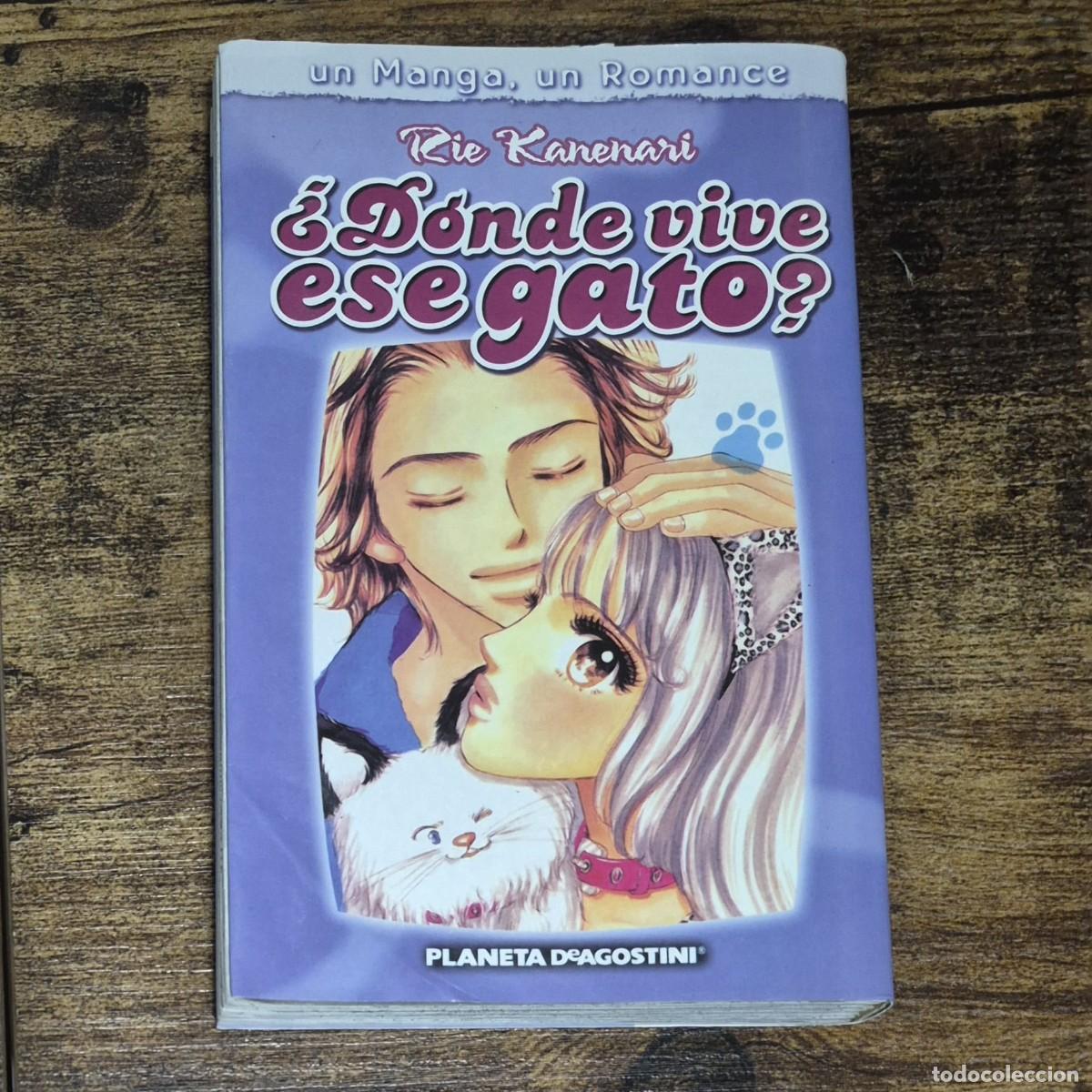 C&oacute;mics: &iquest;D&Oacute;NDE VIVE ESE GATO? - RIE KANENARI (MANGA, C&Oacute;MIC)