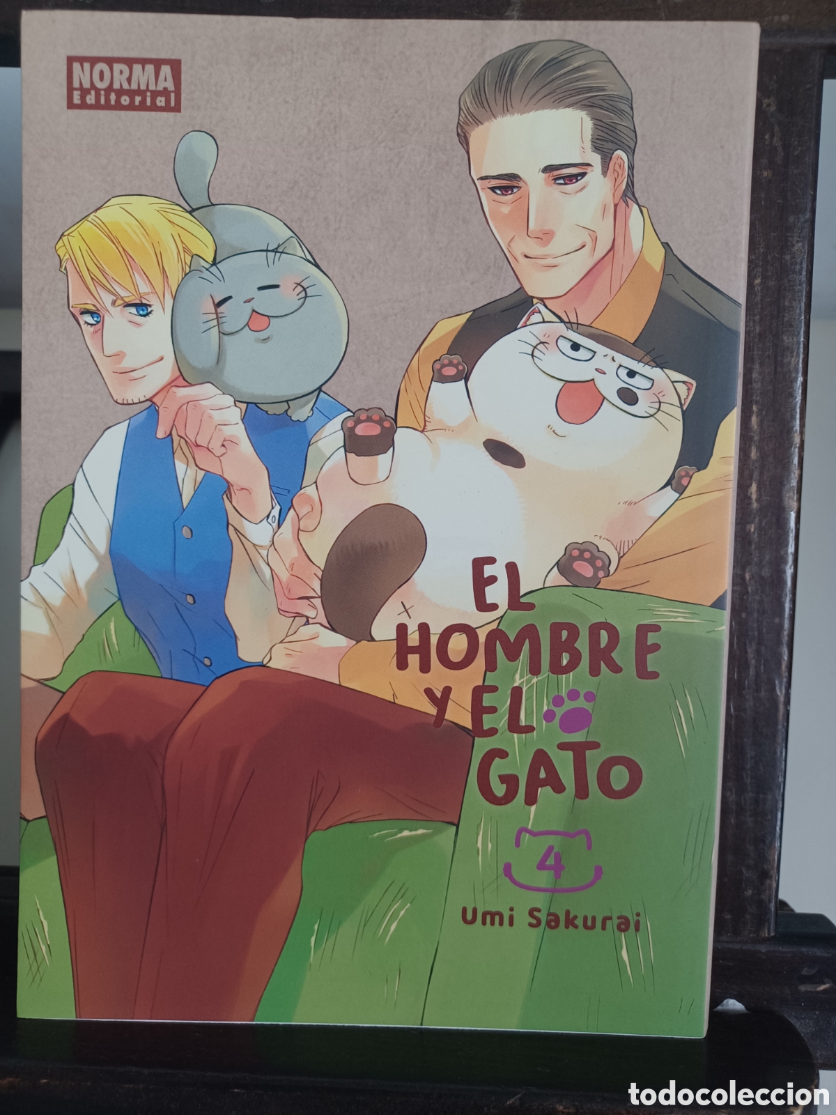 C&oacute;mics: El hombre y el gato 4/ Umi Sakurai/ Shojo/ Norma/ NUEVO A ESTRENAR