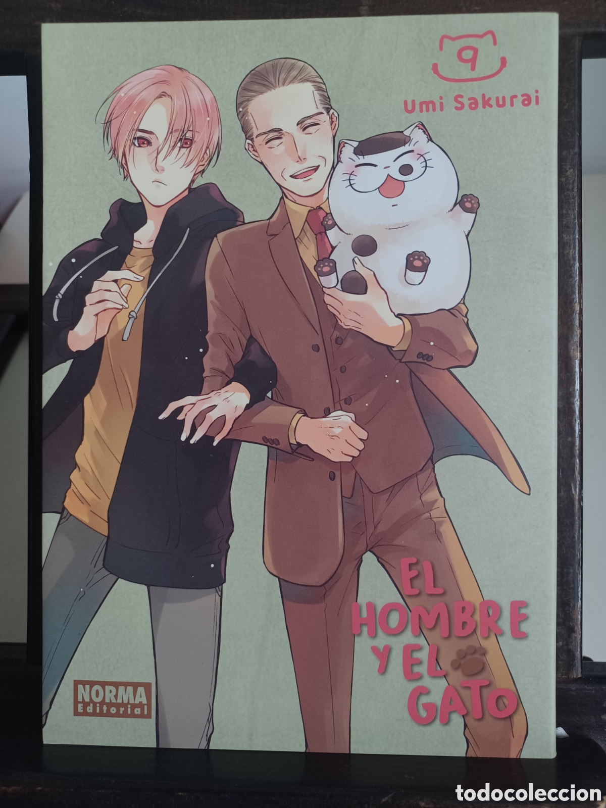 C&oacute;mics: El hombre y el gato 9/ Umi Sakurai/ Shojo/ Norma/ NUEVO A ESTRENAR