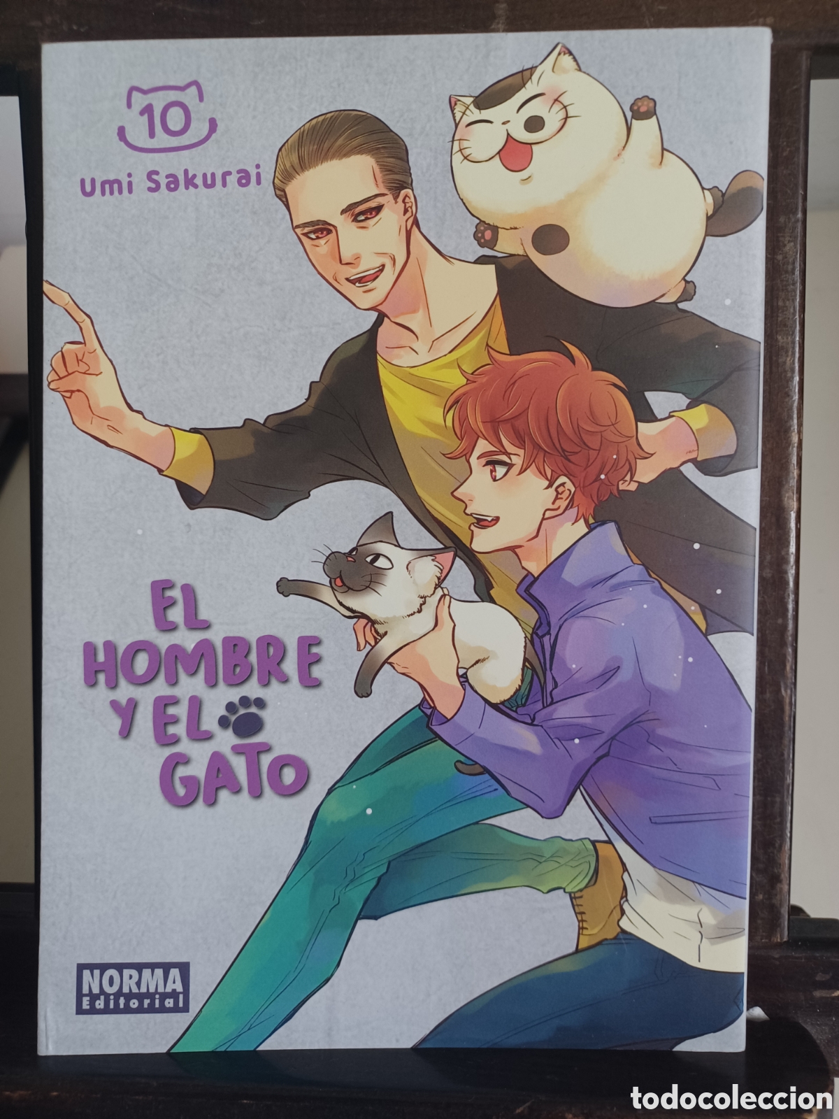 C&oacute;mics: El hombre y el gato 10/ Umi Sakurai/ Shojo/ Norma/ NUEVO A ESTRENAR