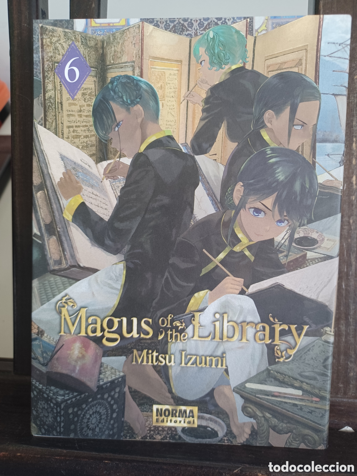C&oacute;mics: Magus of the Library 6/ Mitsu Izumi/ Seinen/ Norma/ NUEVO A ESTRENAR