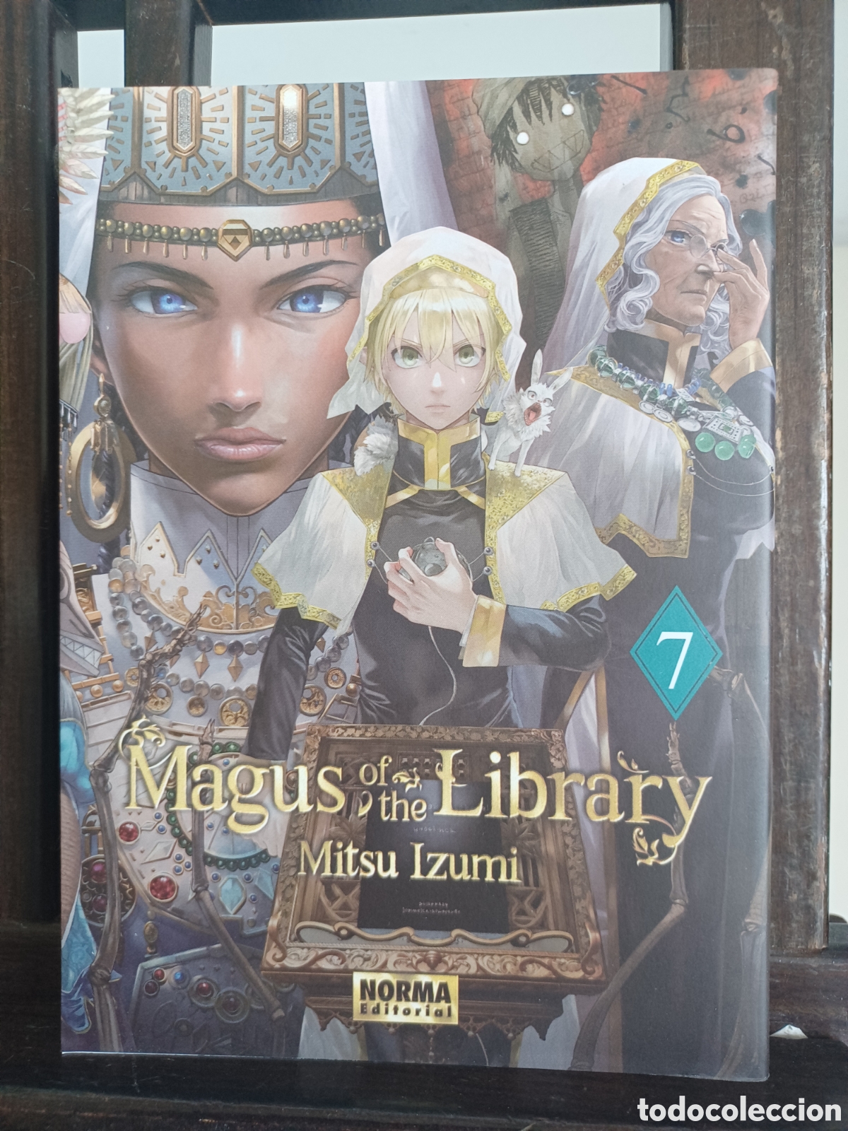 C&oacute;mics: Magus of the Library 7/ Mitsu Izumi/ Seinen/ Norma/ NUEVO A ESTRENAR