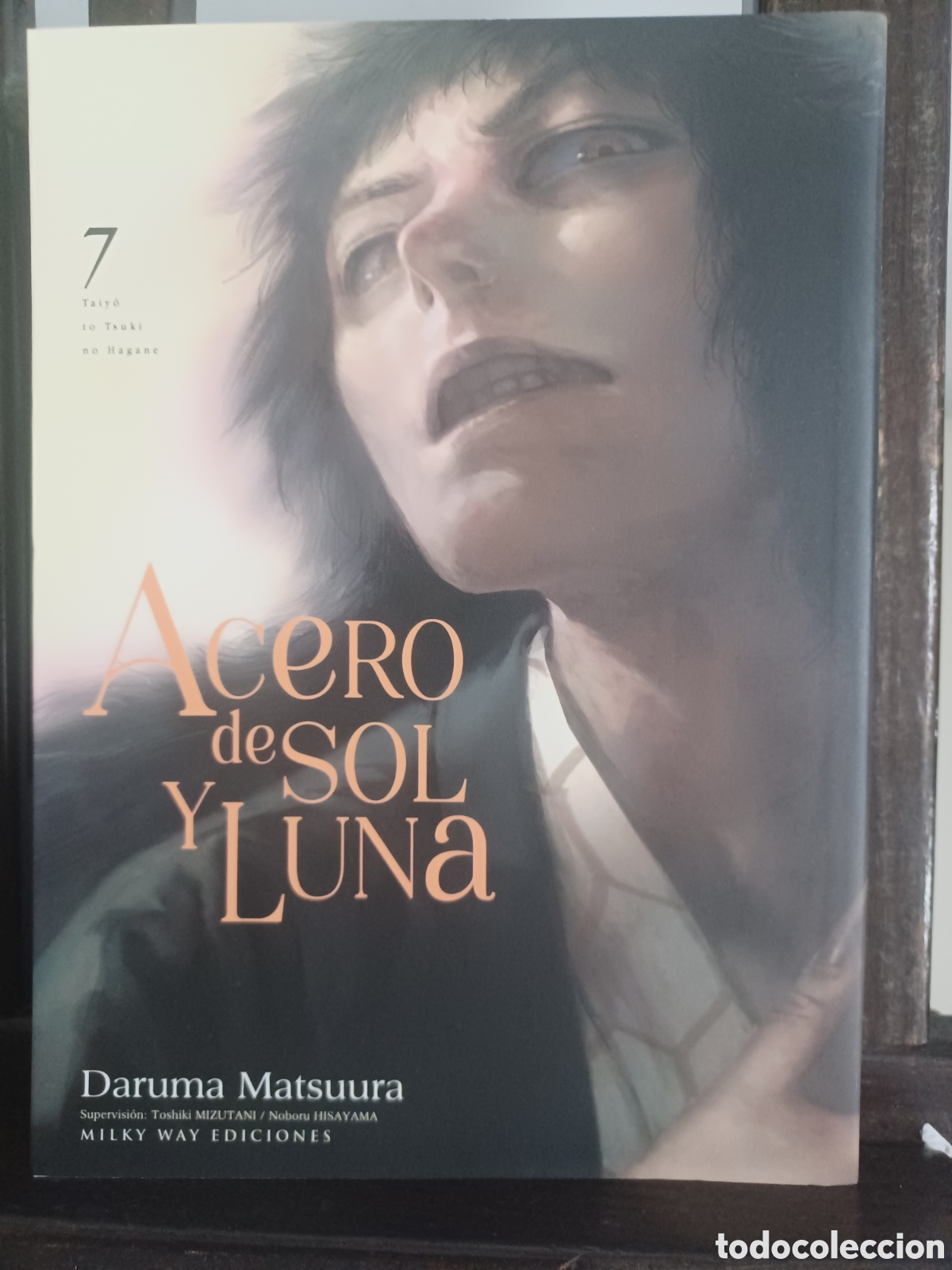 C&oacute;mics: Acero de sol y luna 7/ Daruma Matsuura/ Seinen/ Milky Way/ NUEVO A ESTRENAR