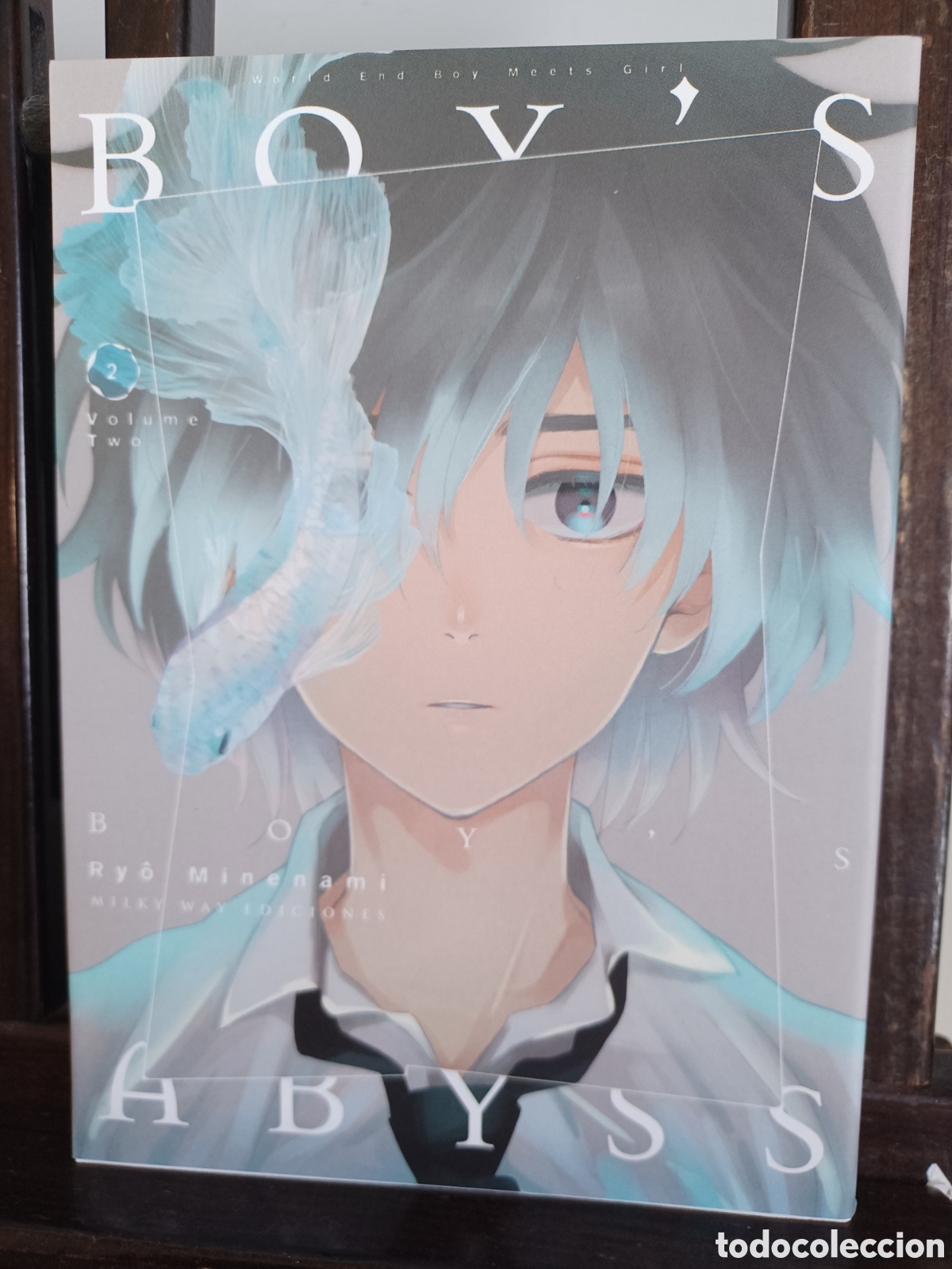 C&oacute;mics: Boy's Abyss 2 de 18/ Ry&ocirc; Minenami/ Seinen/ Milky Way/ NUEVO A ESTRENAR