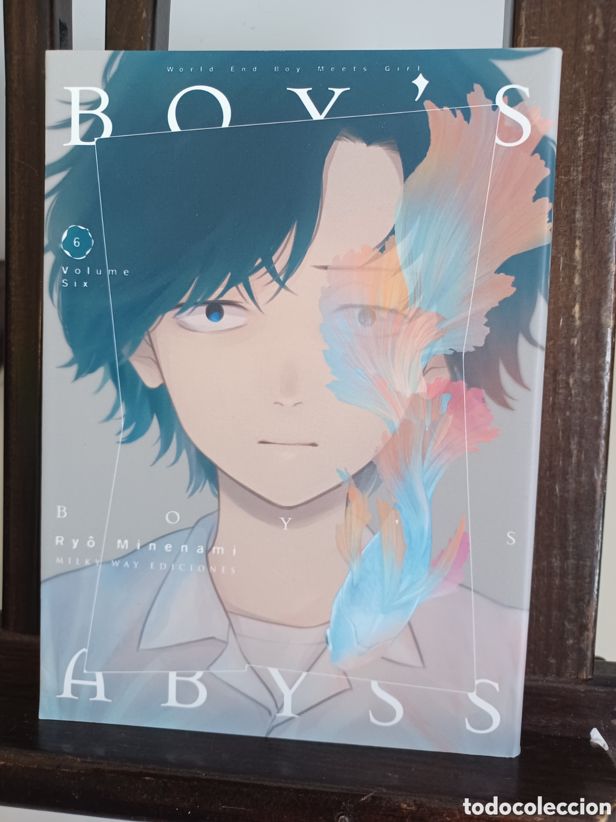 C&oacute;mics: Boy's Abyss 6 de 18/ Ry&ocirc; Minenami/ Seinen/ Milky Way/ NUEVO A ESTRENAR