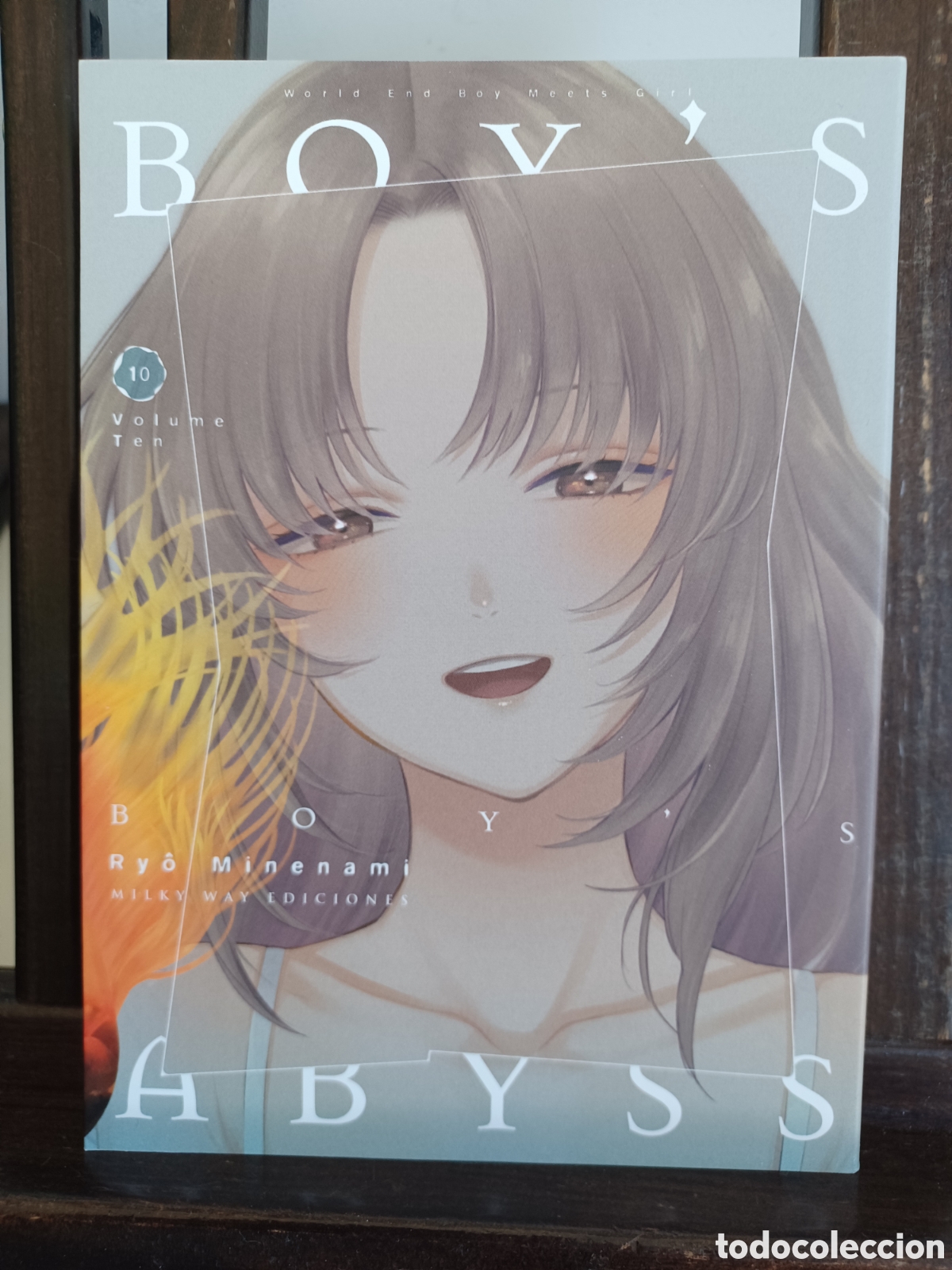 C&oacute;mics: Boy's Abyss 10 de 18/ Ry&ocirc; Minenami/ Seinen/ Milky Way/ NUEVO A ESTRENAR