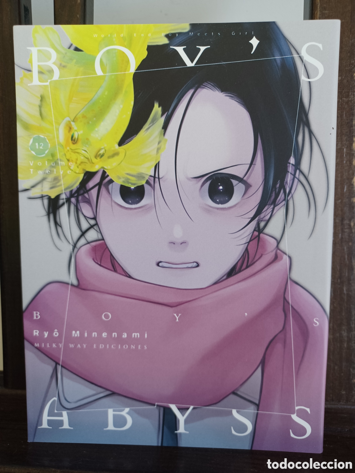 C&oacute;mics: Boy's Abyss 12 de 18/ Ry&ocirc; Minenami/ Seinen/ Milky Way/ NUEVO A ESTRENAR