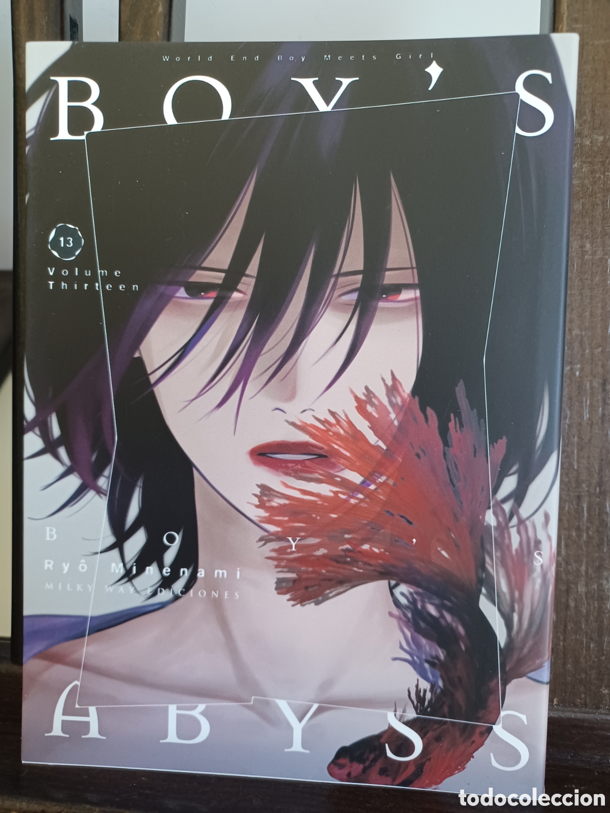 C&oacute;mics: Boy's Abyss 13 de 16/ Ry&ocirc; Minenami/ Seinen/ Milky Way/ NUEVO A ESTRENAR