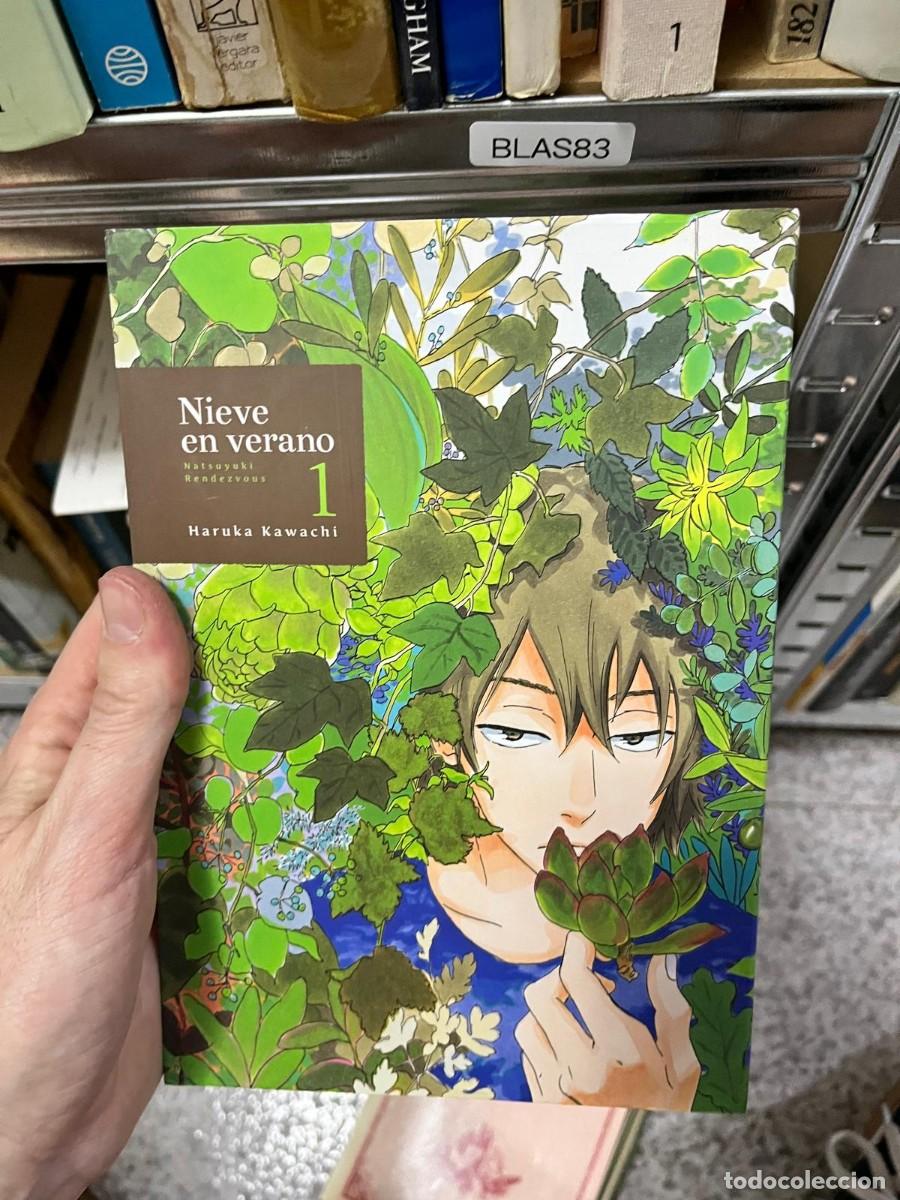 C&oacute;mics: BLAS83 &ndash; Nieve en verano, vol. 1 (Natsuyuki Rendezvous) &ndash; Haruka Kawachi &ndash; Manga rom&aacute;ntico y fant&aacute;st