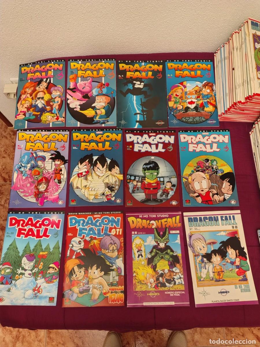 C&oacute;mics: Colecci&oacute;n Dragon Fall &ndash; N&uacute;meros antiguos - Foto 1