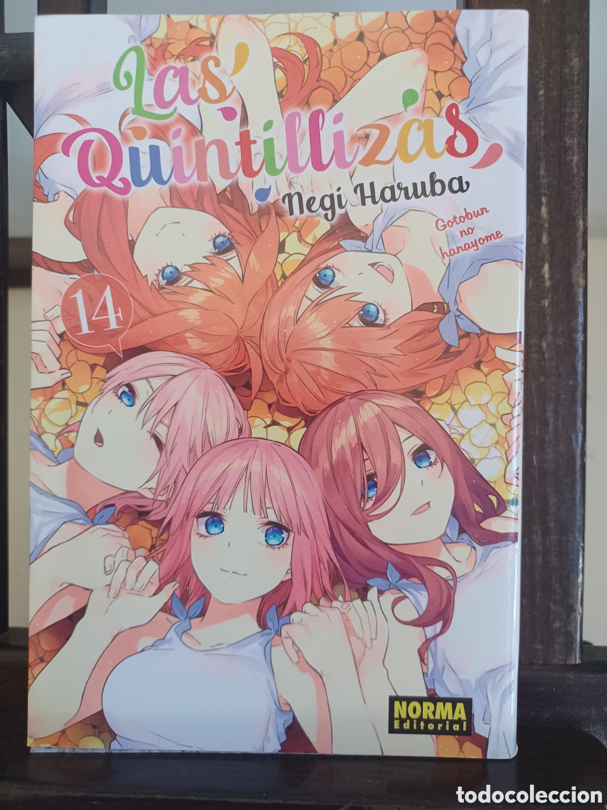 C&oacute;mics: Las quintillizas 14 de 14/ Negi Haruba/ Shonen/ Norma/ NUEVO A ESTRENAR