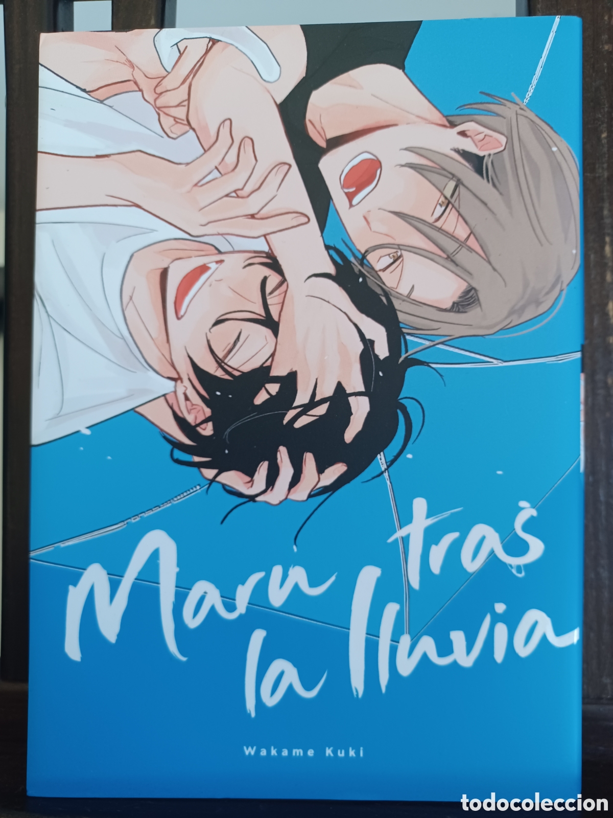 C&oacute;mics: Maru tras la lluvia/ Wakame Kuki/ Manga BL/ Arechi/ NUEVO A ESTRENAR
