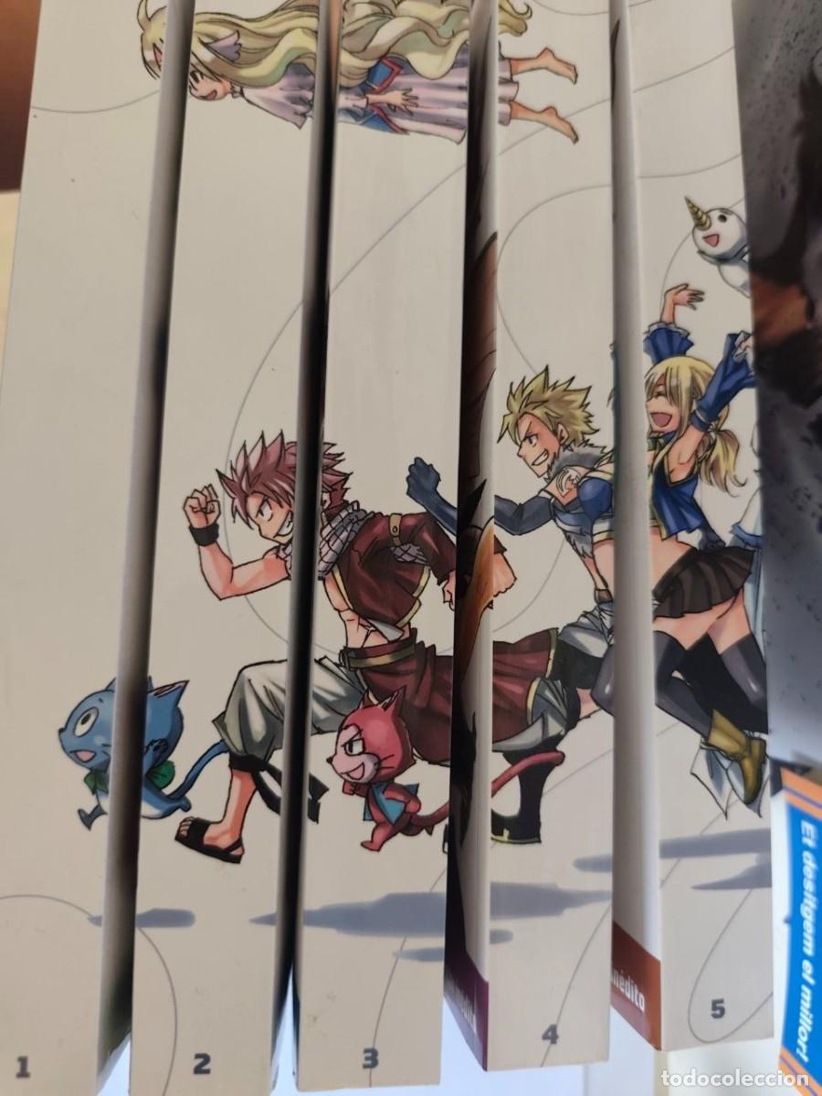 C&oacute;mics: Lote 5 Fairy Tail Salvat nuevos sin uso