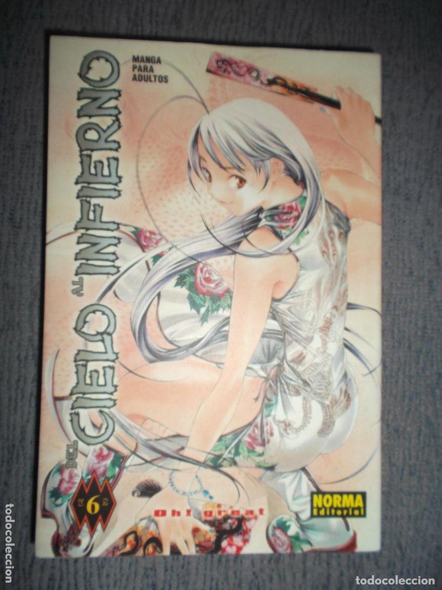 C&oacute;mics: Del cielo al infierno 6. Manga