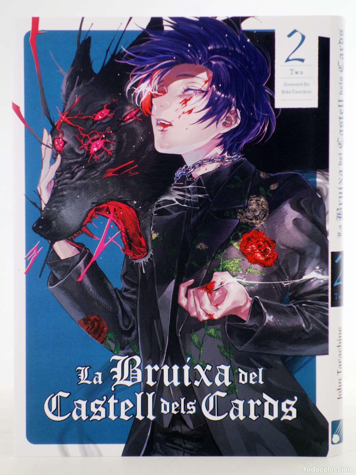 C&oacute;mics: LA BRUIXA DEL CASTELL DELS CARDS 2 (John Tarachine) Trilita Catway, 2026. CATAL&Agrave;. NVED