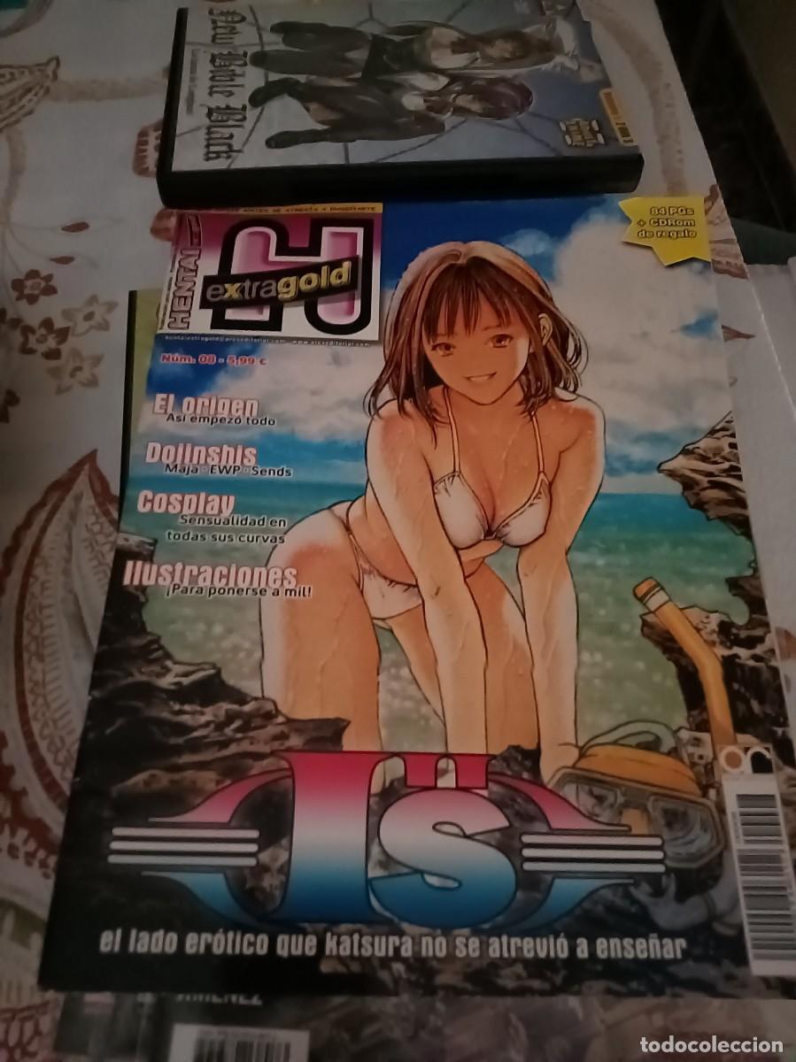 C&oacute;mics: MEGA Lote Revistas HENTAI X MANGA HENTAI Extra Gold WET X Parodies con posters NO CDs comic +++