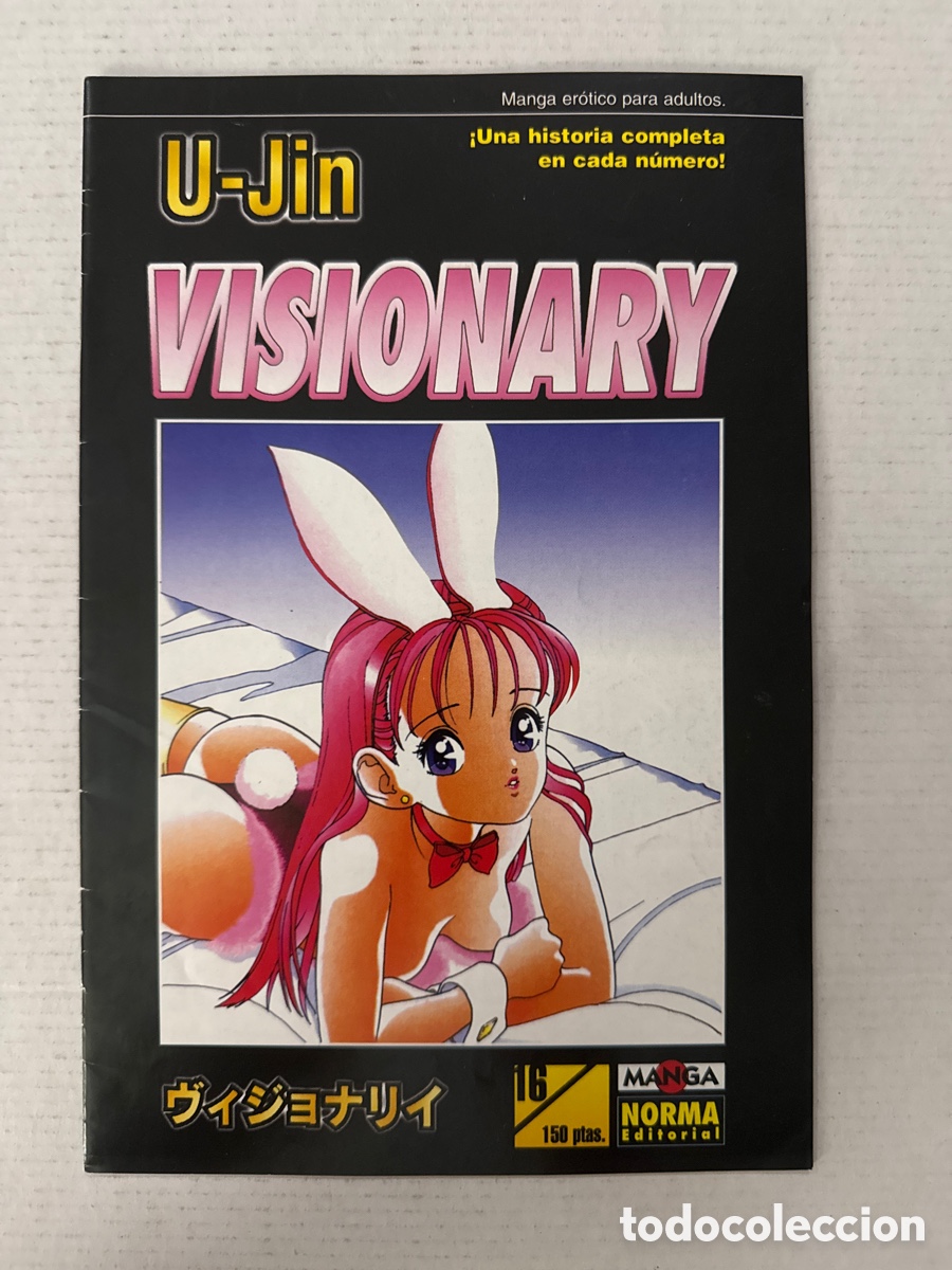 C&oacute;mics: VISIONARY de U-Jin #16 - NORMA &laquo;Infrecuente&raquo; Buen Estado