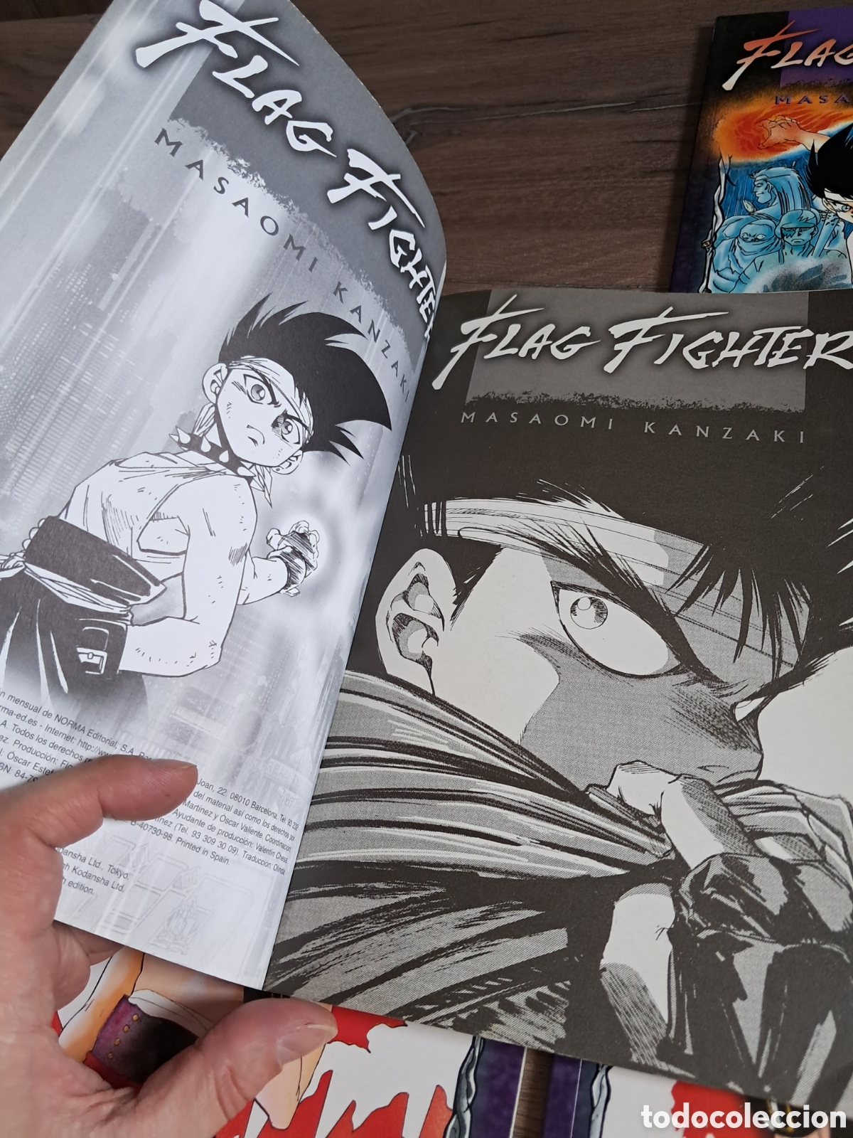 C&oacute;mics: Manga Flag Fighter Completa 1-4 - Foto 4
