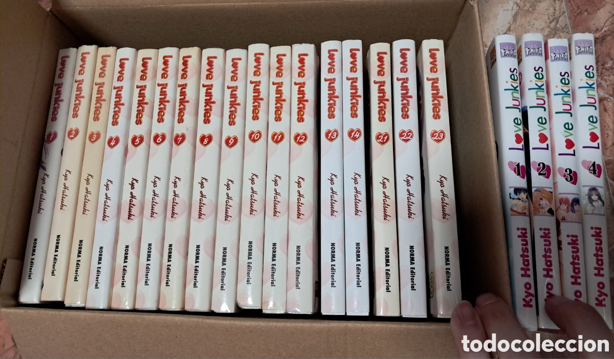 C&oacute;mics: LOVE JUNKIES 21 Tomos - Hentai