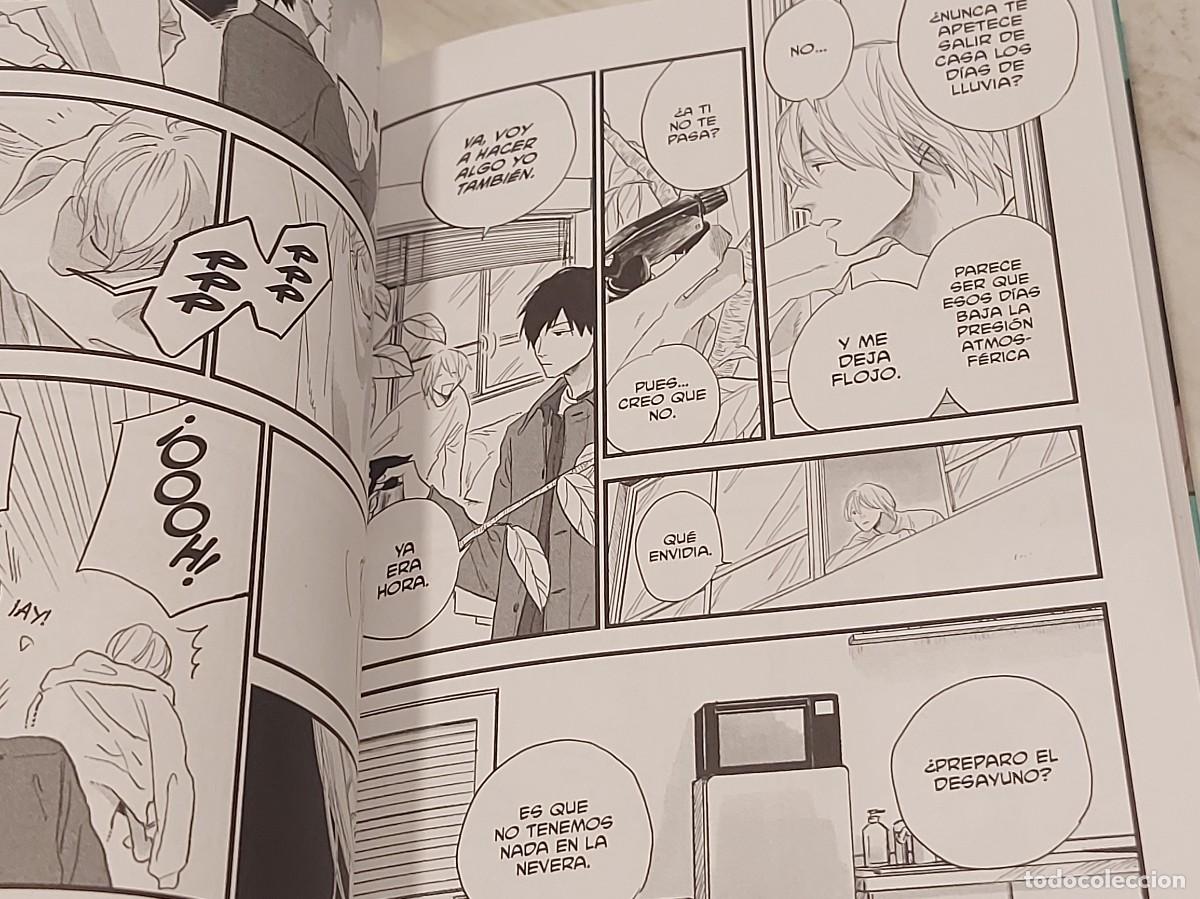 C&oacute;mics: SABOR A MEL&Oacute;N | ETSUKO | TOMOS 1 Y 2 COMPLETOS | DISTRITO MANGA | BL - Foto 3