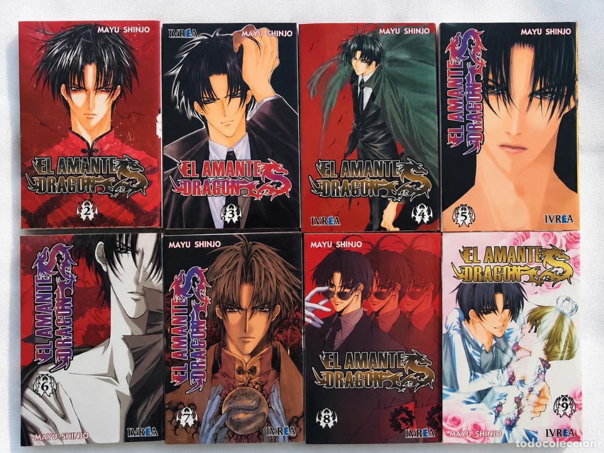 Comics: libros lote amante dragon 8