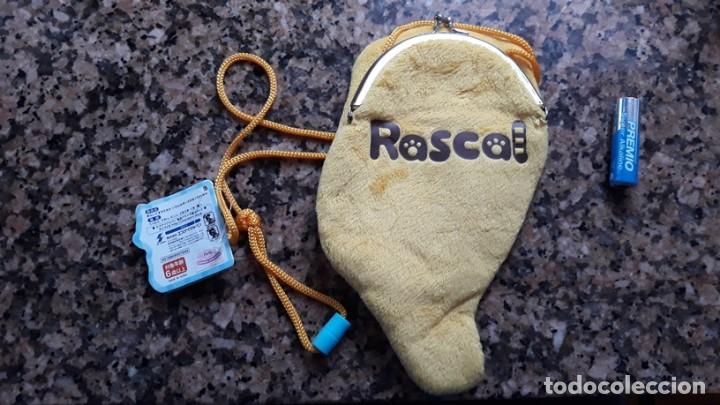 C&oacute;mics: araiguma rascal the racoon - Foto 2