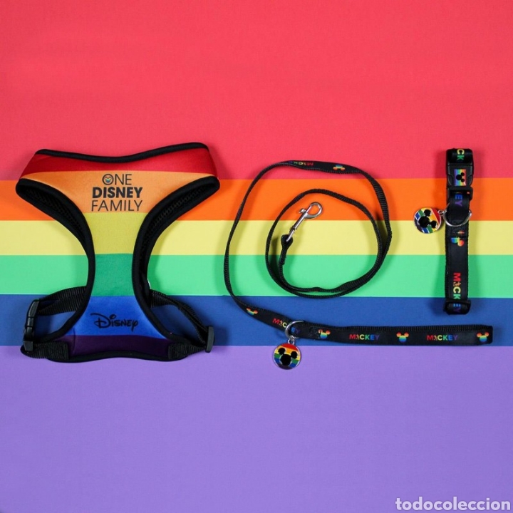 C&oacute;mics: CORREA PARA PERRO DISNEY PRIDE TALLA M - Foto 4