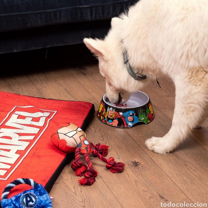 C&oacute;mics: COMEDERO PARA PERRO MARVEL TAMA&Ntilde;O M - Foto 5