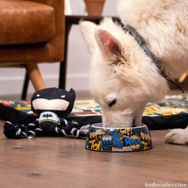 C&oacute;mics: COMEDERO PARA PERRO BATMAN TAMA&Ntilde;O M - Foto 6