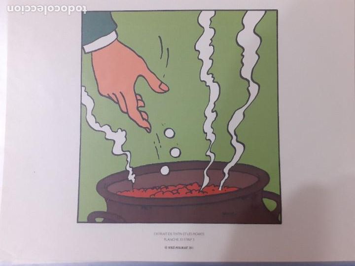 Comics: LAMINA DE HERGE - PLANCHA DE TINTIN - EXTRAIT DE TINTIN ET LES PICAROS STRIP 3 - MOULINSART 2011