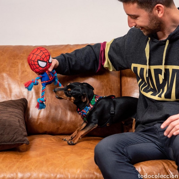 C&oacute;mics: ARN&Eacute;S PARA PERRO MARVEL TALLA XS-S - Foto 9
