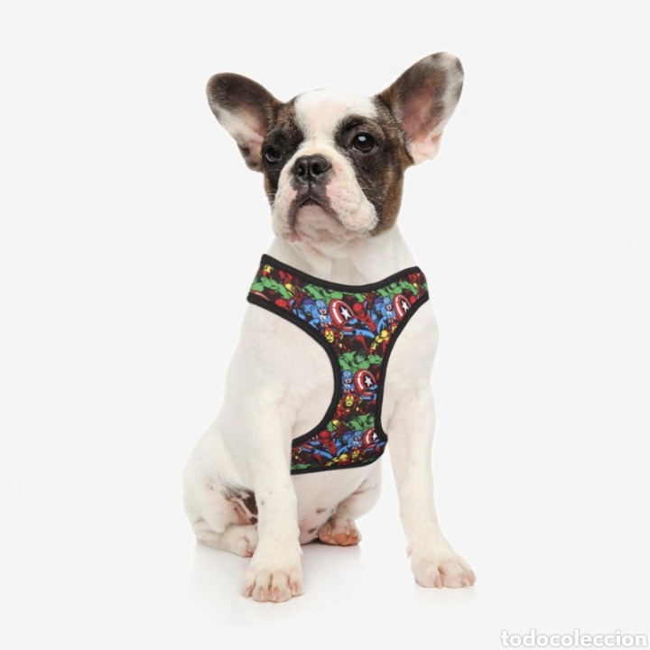 C&oacute;mics: ARN&Eacute;S PARA PERRO MARVEL TALLA XS-S - Foto 10