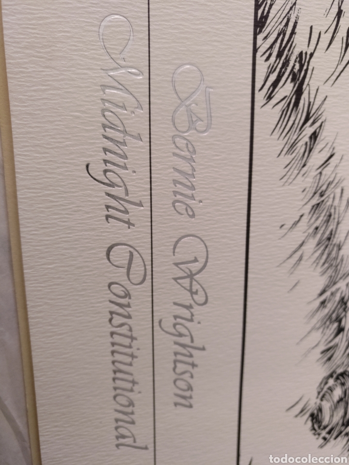C&oacute;mics: Berni Wrightson Midnight Constitutional 1997 50x40 cm aprox - Foto 3