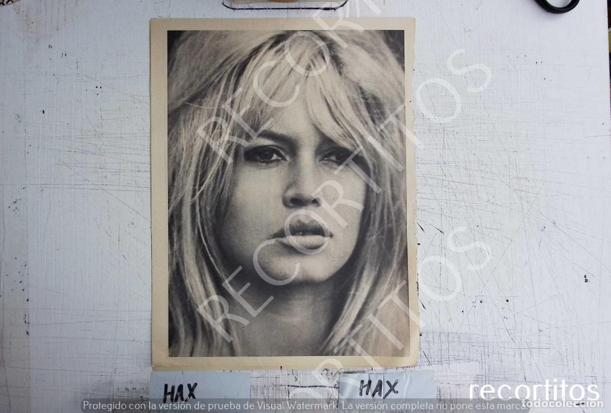 C&oacute;mics: brigitte bardot bb - Foto 1