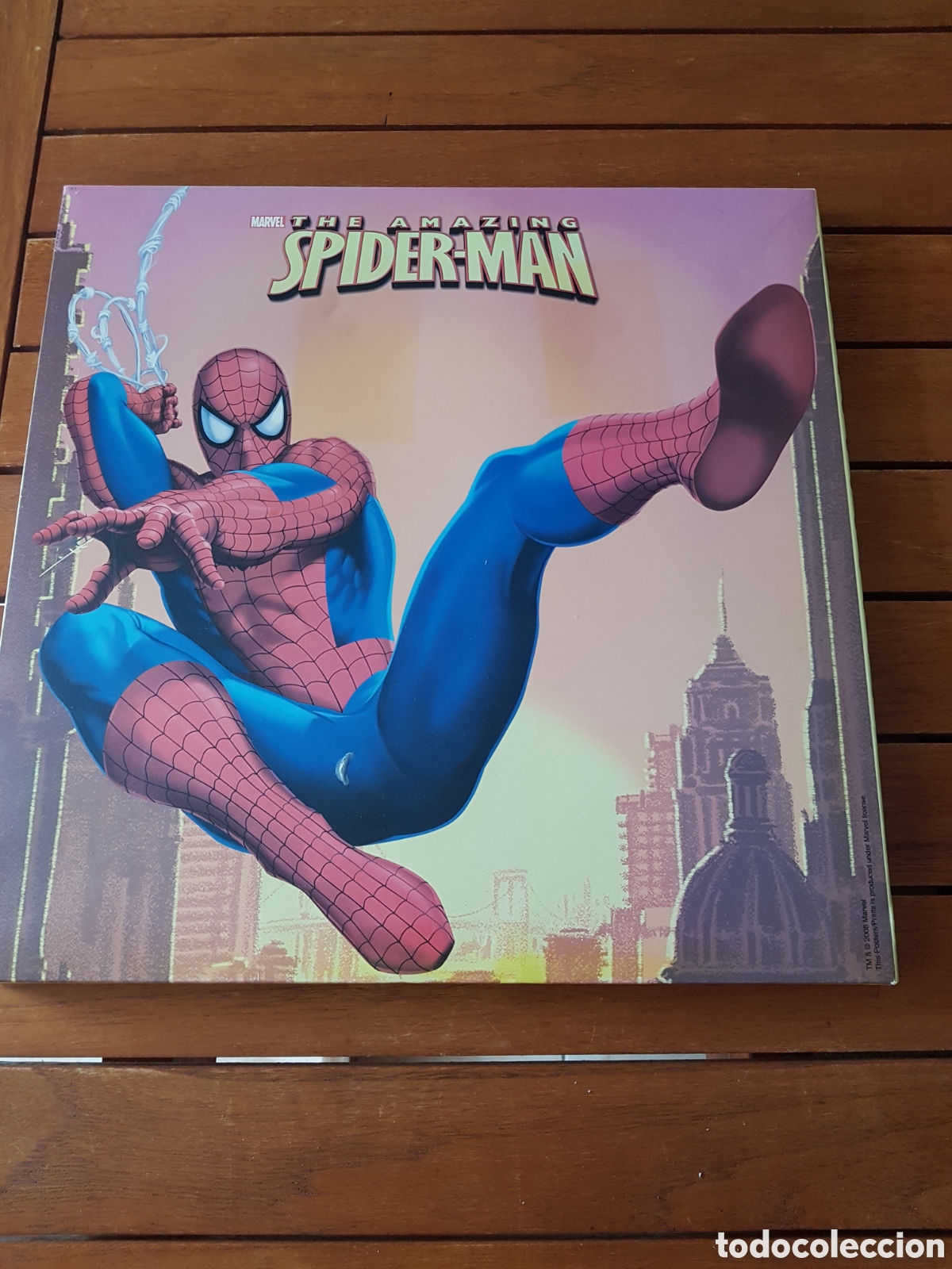 C&oacute;mics: Cuadro de SPIDER-MAN - Foto 1