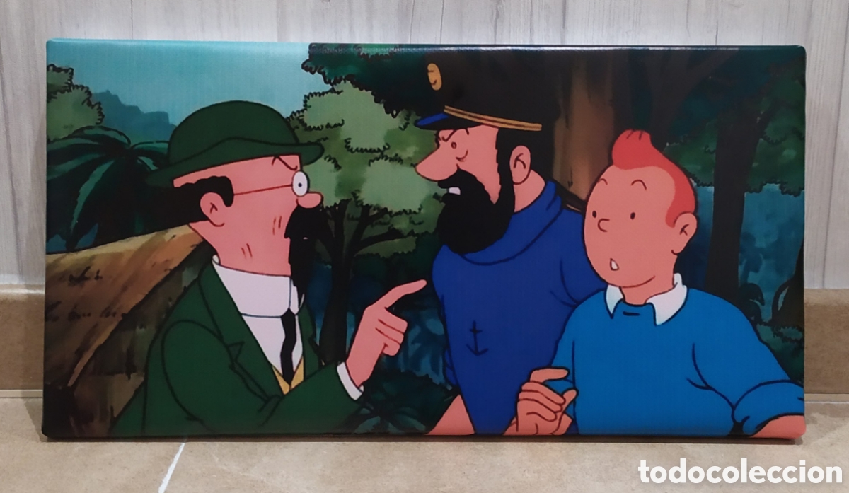 C&oacute;mics: Cuadro personajes TIN TIN - Foto 1
