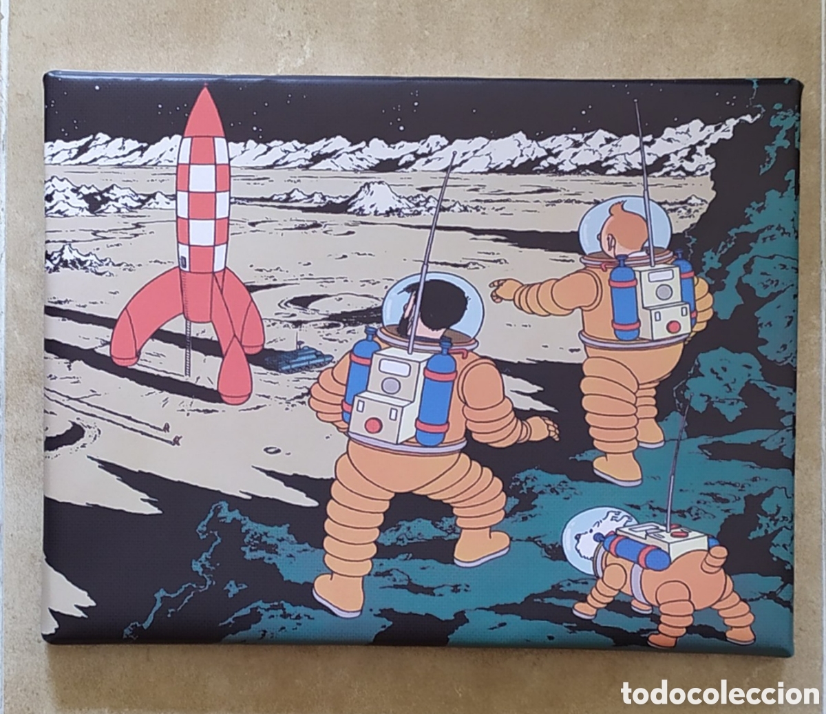 C&oacute;mics: Cuadro TIN TIN astronautas - Foto 1