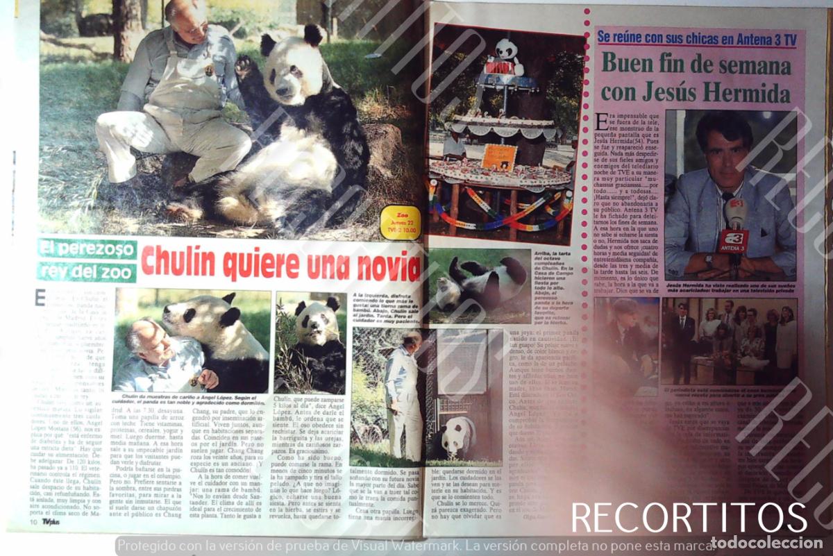 C&oacute;mics: chulin oso panda jesus hermida - Foto 1
